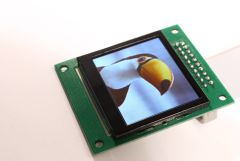 160X128 1.69 inç FULL COLOR OLED