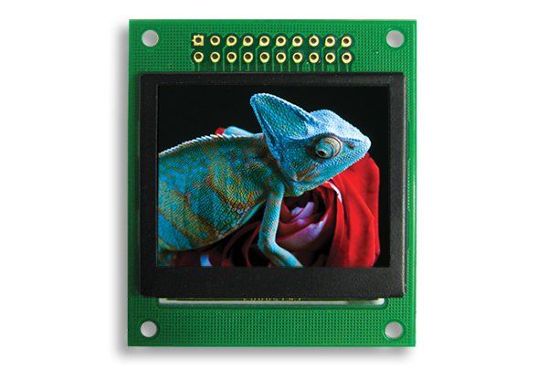 160X128 1.69 inç FULL COLOR OLED