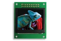 160X128 1.69 inç FULL COLOR OLED