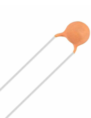 22pf 50v %10  5mm   Seramik Kondansatö