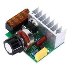 AC 220V 4000W Dimmer